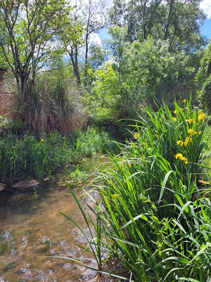 Champagnac  Le Moulin Etourneau - 3 Gites Avec 2 Piscines מראה חיצוני תמונה