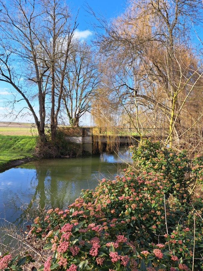 Champagnac  Le Moulin Etourneau - 3 Gites Avec 2 Piscines מראה חיצוני תמונה